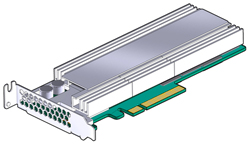 image:Ilustración que muestra la tarjeta Oracle Flash Accelerator F160 PCIe Card con soporte.