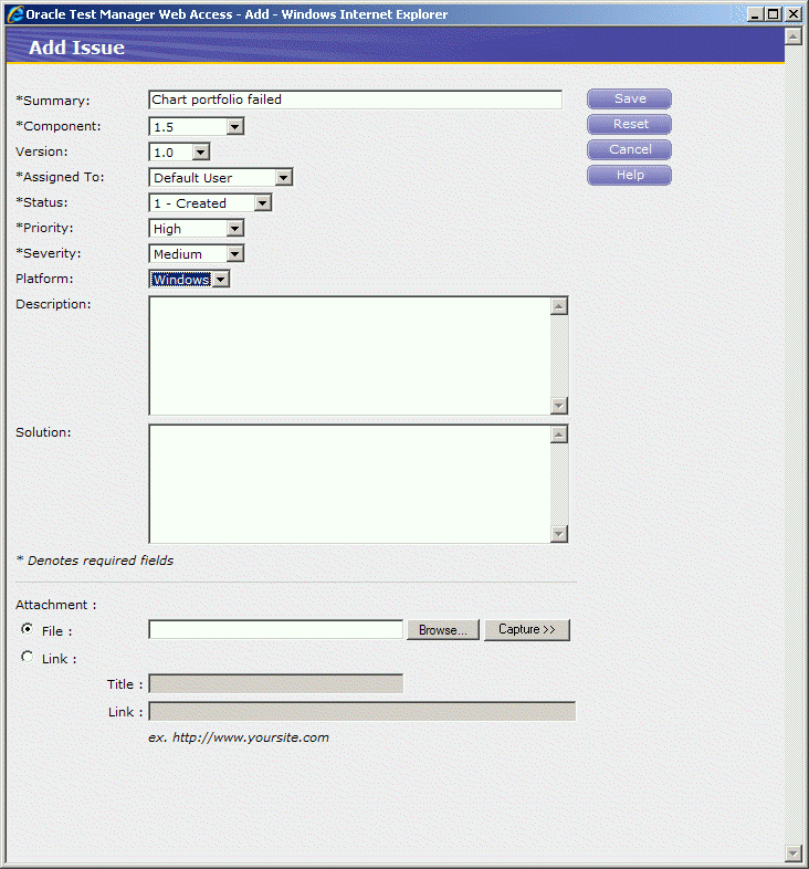 Add Issue Window with Sample Data