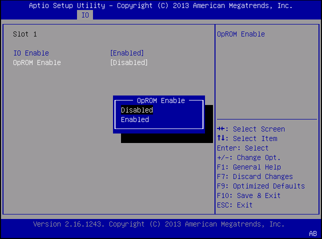 image:Screenshot of I/O menu with Disabled selected for                                         OpROM.