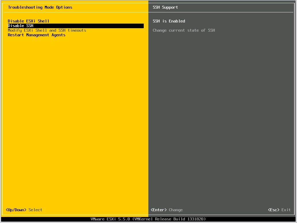 image:图中显示了如何启用 ESXi shell 和 SSH。