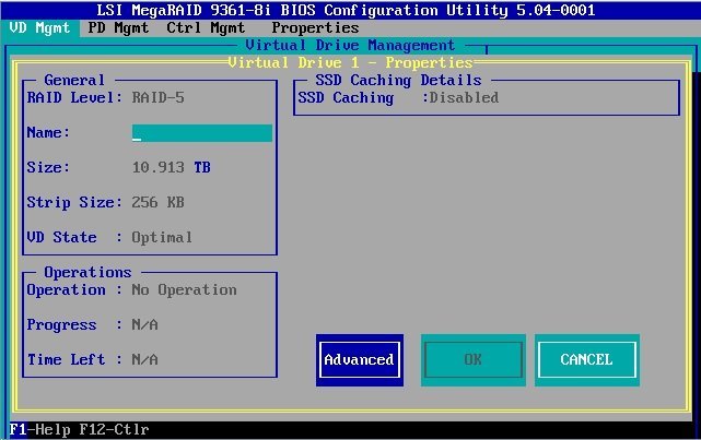 image:Virtual Drive Properties 화면의 Advanced 버튼을 보여주는 그림입니다.