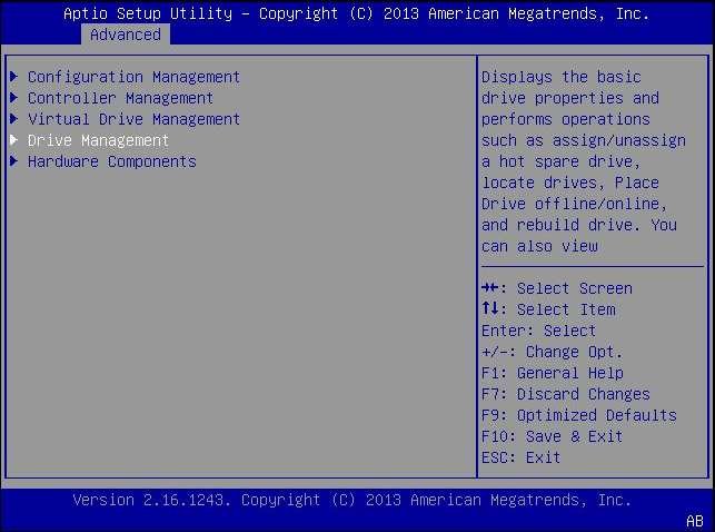 image:Figure illustrant l'option de menu Drive Management.