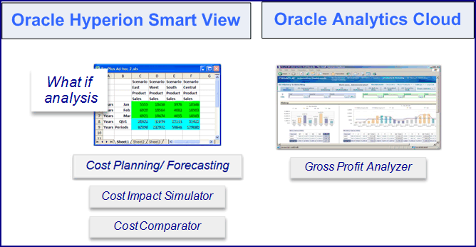 the picture is described in the document text