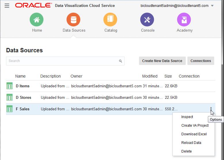 「F Sales」データ・ソースで「オプション」をクリックし、「検査」を選択します。