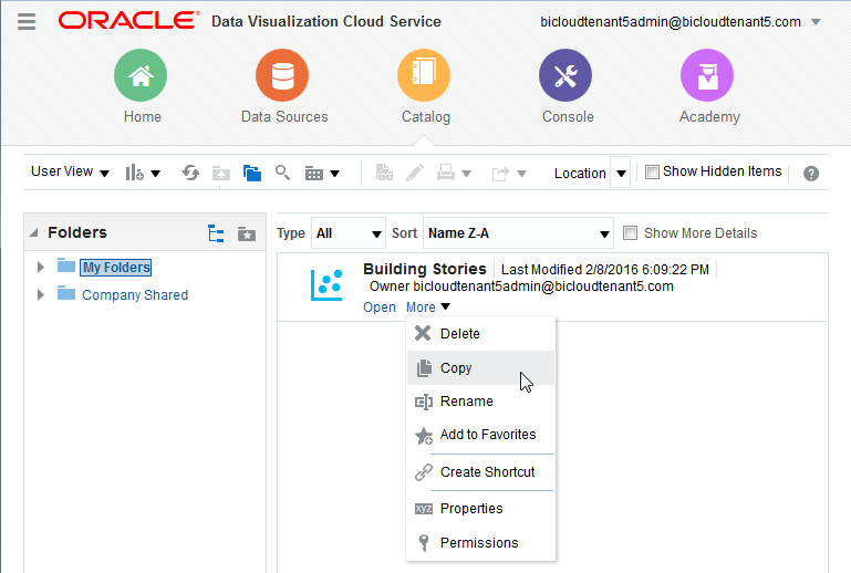 ビジュアライゼーション・プロジェクトのコピー