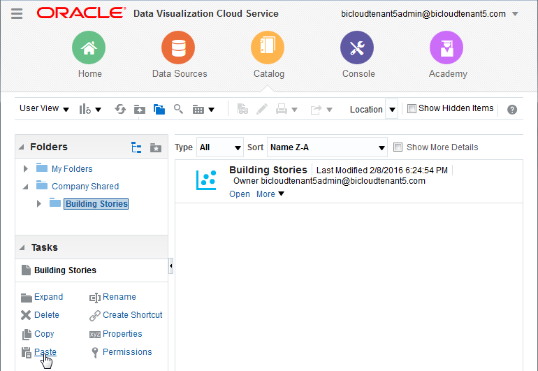 ビジュアライゼーション・プロジェクトの貼付け