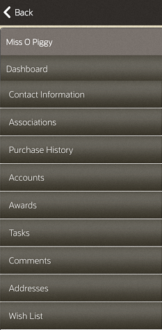 Customer Maintenance - Tab Selection
