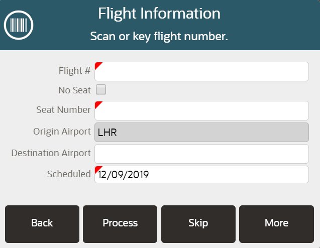 Flight Information Screen