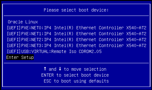 image:Select Boot Device menu in UEFI mode.