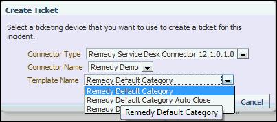 Shows Remedy Default Category selected from Template Name list.