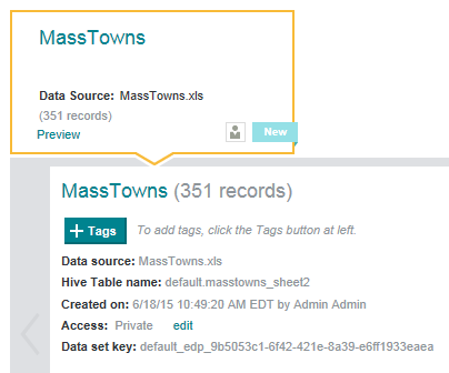Shows the quick look information for a data set.