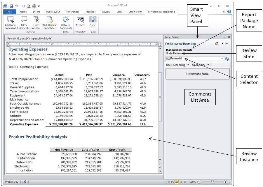 Screenshot of the review instance interface in Smart View.