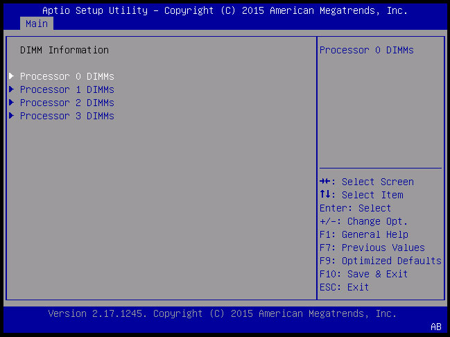 image:システム DIMM の情報を示すスクリーンショット。