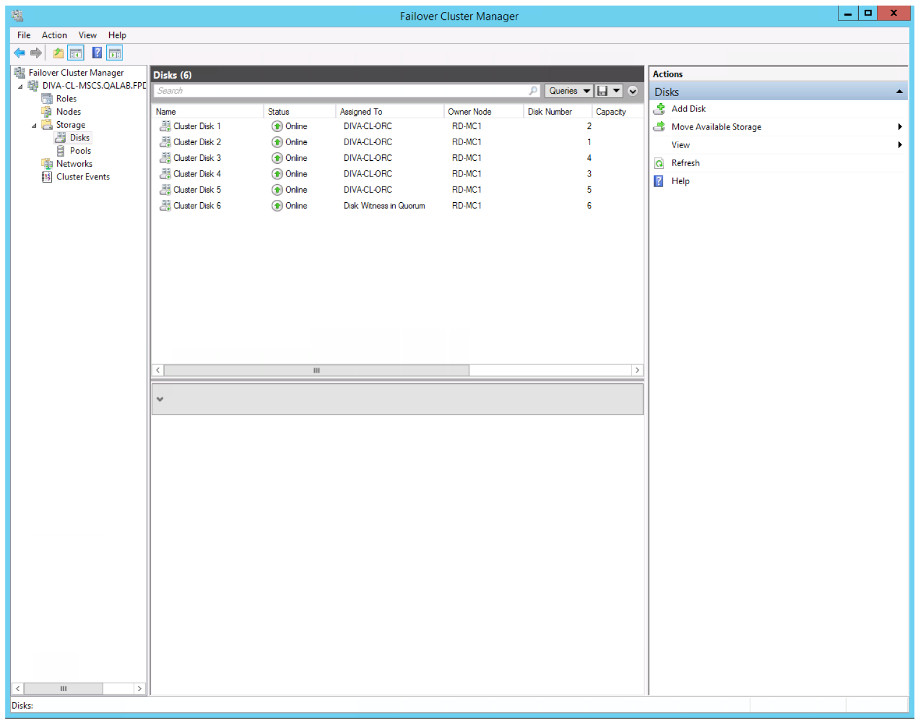 Failover Cluster Manager - Disks View