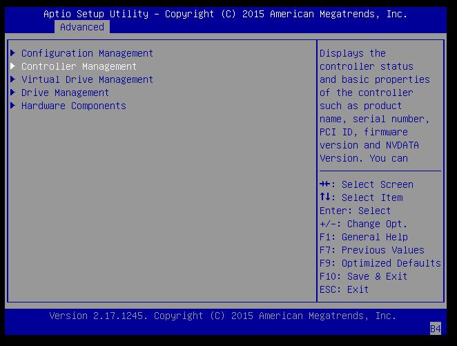 image:Controller Management 항목이 선택된 최상위 레벨 LSI 화면 보기입니다.