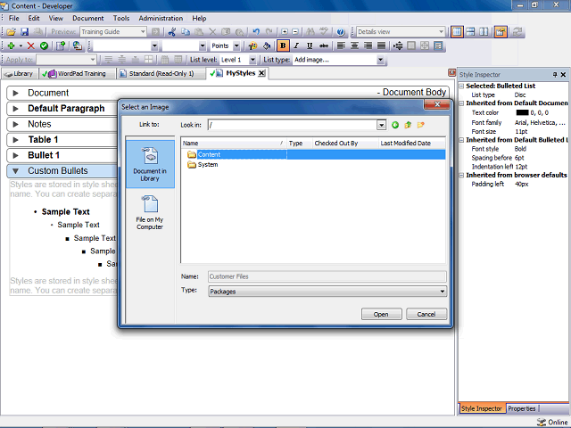 Screen image of this step