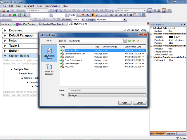 Screen image of this step