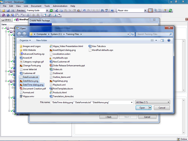 Screen image of this step