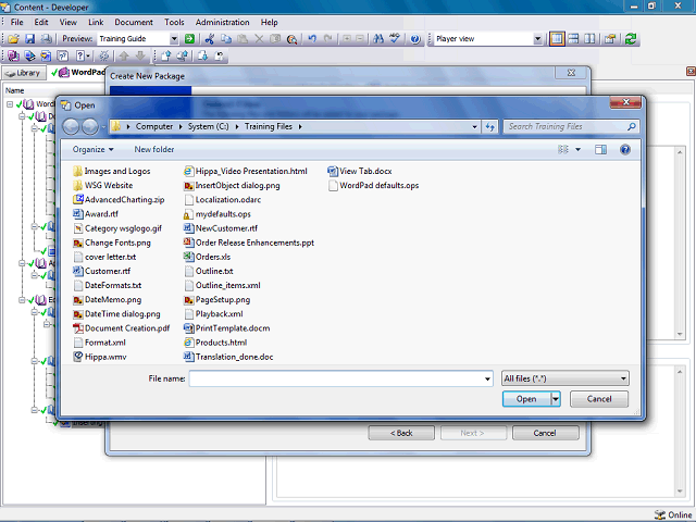 Screen image of this step