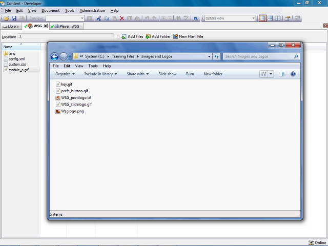 Screen image of this step