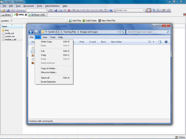 Screen image of this step