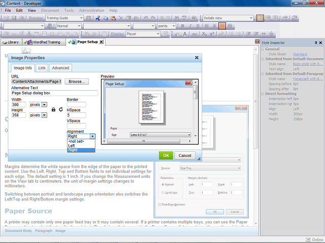 Screen image of this step