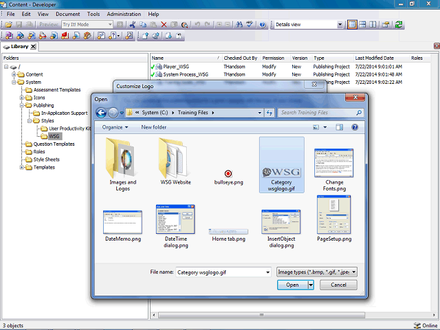 Screen image of this step