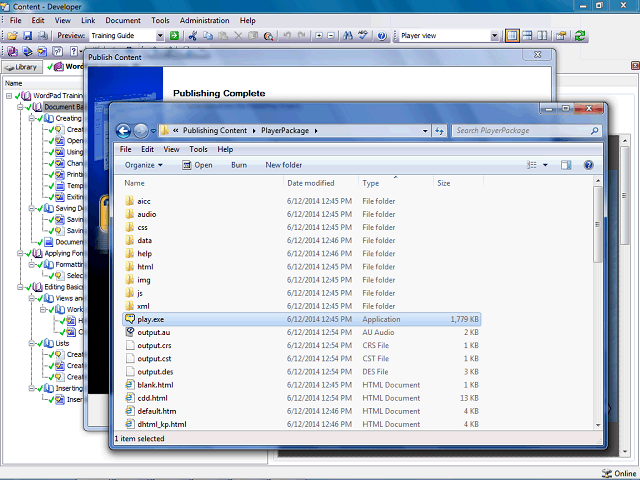 Screen image of this step