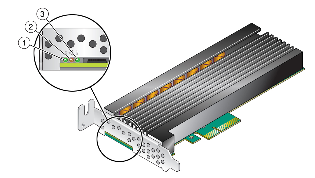image:Illustration showing the Oracle Flash Accelerator F320 PCIe Card status                         indicator LEDs