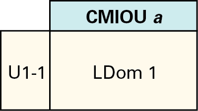 image:CMIOU 1개가 있는 PDomain에 대한 LDom 구성을 보여주는 그림입니다.