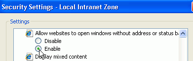bam_ie_sec_cust_allow.gifの説明が続きます