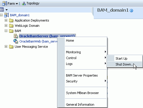 bam_startup.gifの説明が続きます