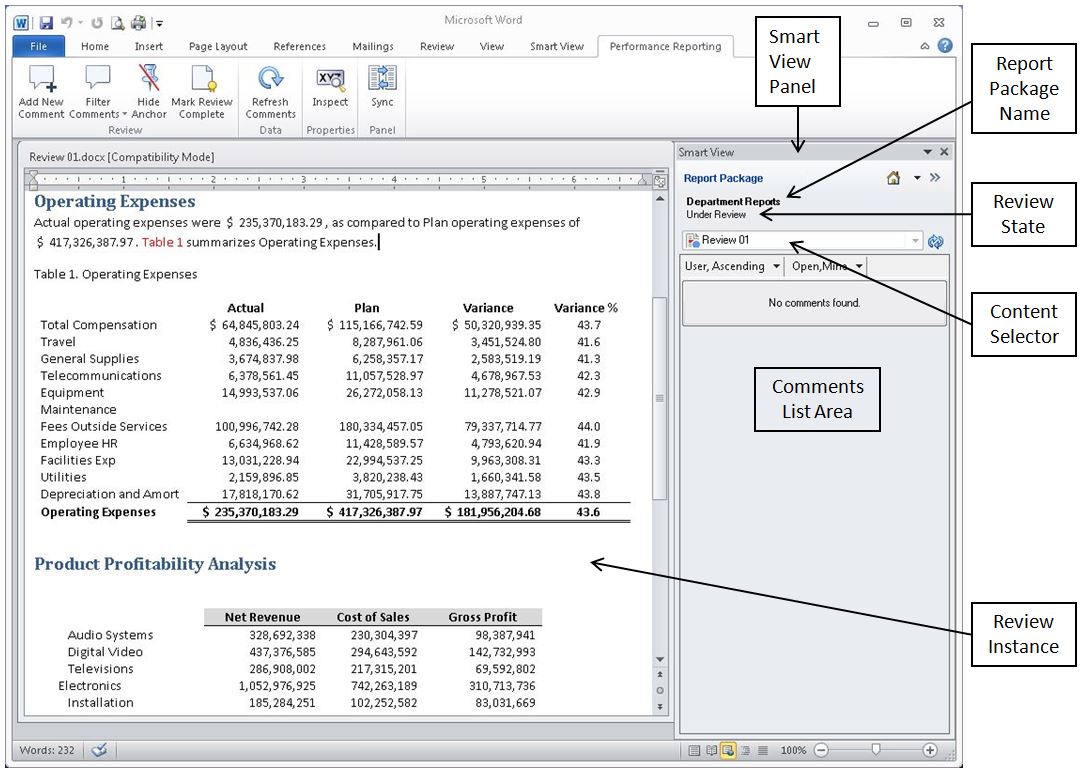 Screenshot of the review instance interface in Smart View.