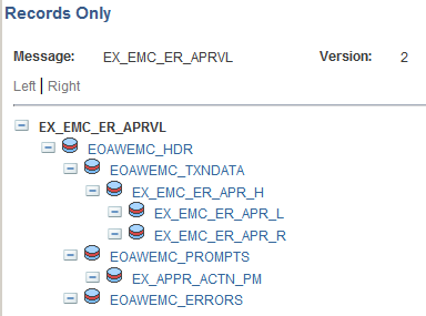 EMC に使用するメッセージの [レコードのみ] ビュー
