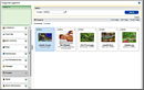 Image Management Workspace