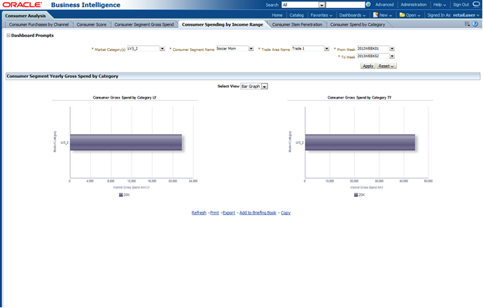 Consumer Spending by Income Report Window