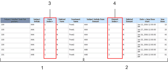 Illustration of report output with an itemset and non-repeating section.