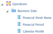 This image shows the Operations subject area, the Business Date folder, and the first three attribute columns under this folder.
