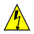 This icon indicates the presence of hazardous voltages.