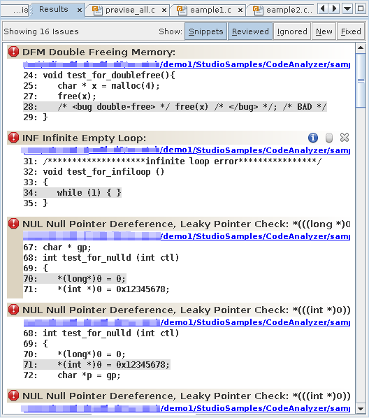 image:显示静态和动态错误的代码分析器 “Results“（结果）标签