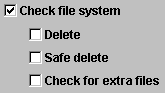 ファイル・システムの整合性をチェックするオプションを示しています