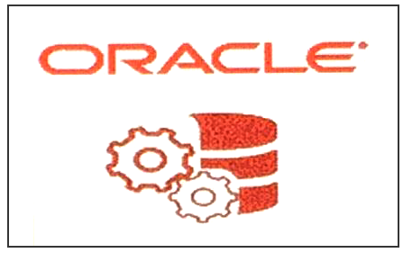 This figure shows the Oracle Workstation option.