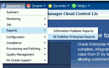 host usage report menu selection