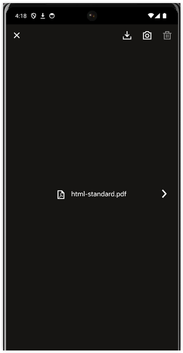 preview_nofile