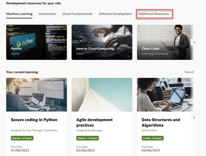 「ロールの開発リソース」スイム・レーンの「追加リソース」タブ