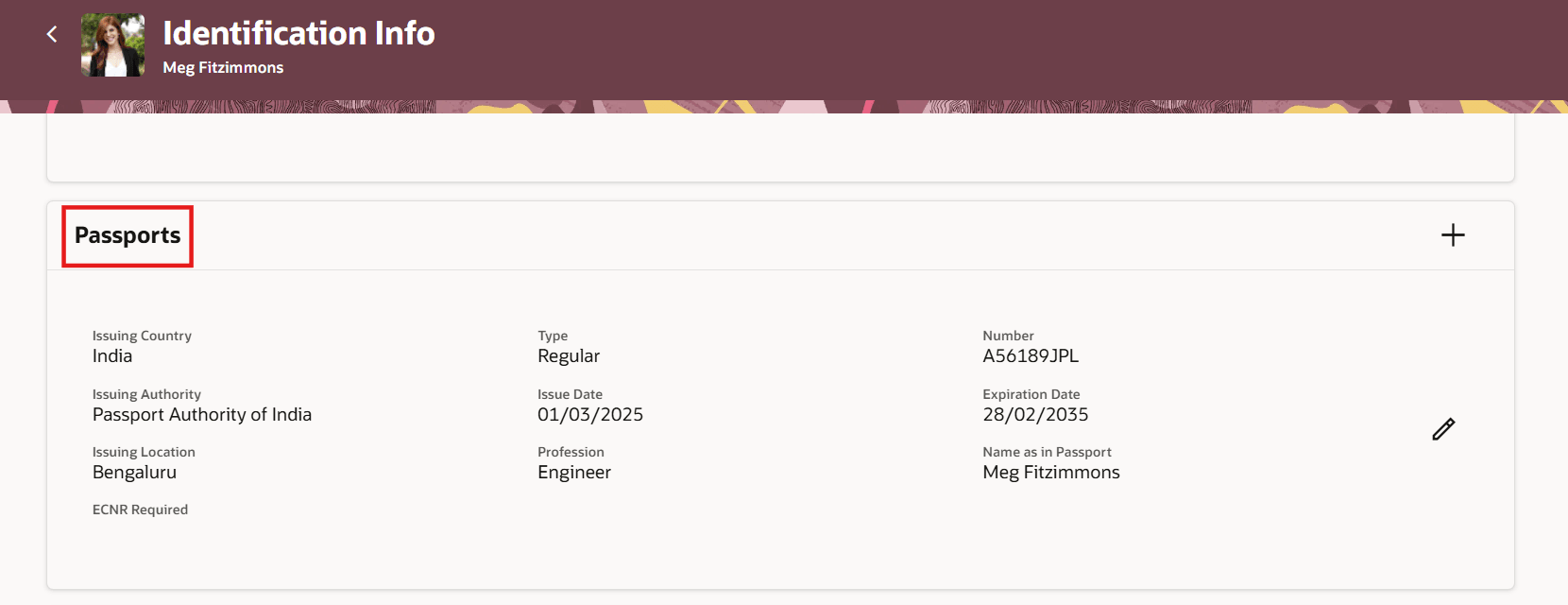 個人識別情報のパスポート詳細