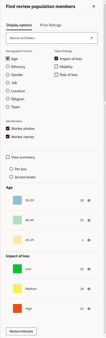 選択した表示オプションの凡例が表示された「表示オプション」タブ