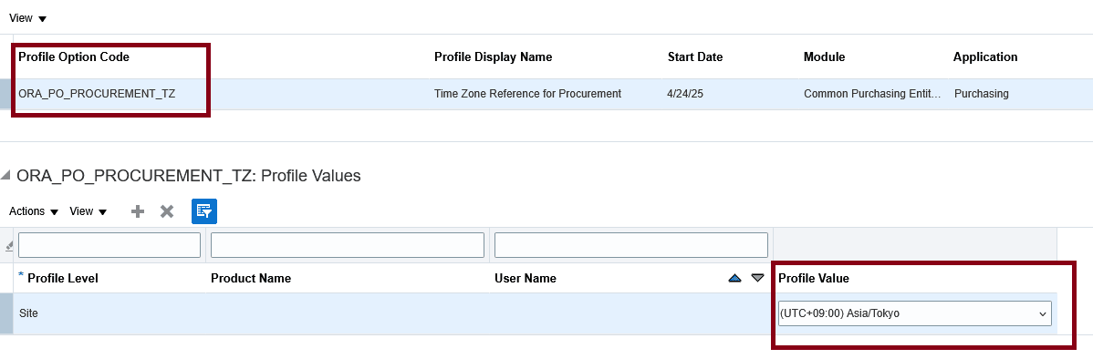 プロファイル・オプションを使用したタイムゾーンの設定