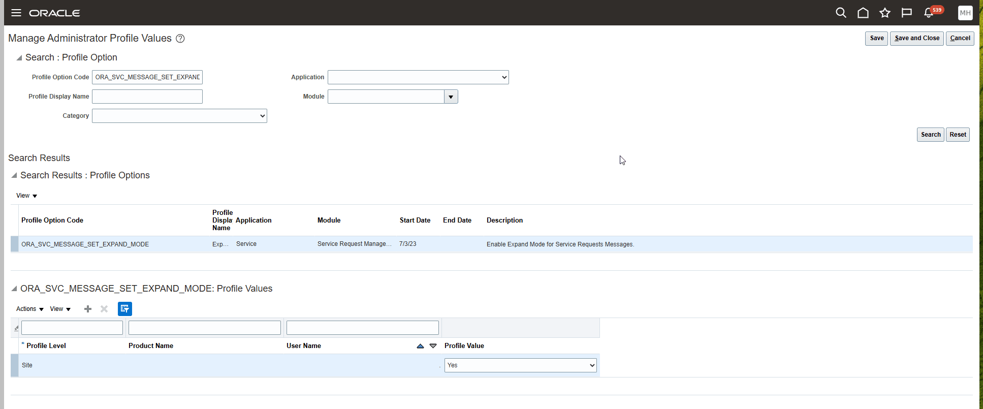 プロファイル・オプションの設定