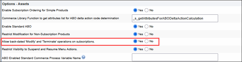 オプション- アセット設定